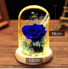 Load image into Gallery viewer, Preserved Fresh Flower Rose Glass Cover Finished Decoration Christmas Gift for Girlfriend Birthday Ideas Gift