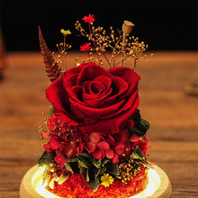 Load image into Gallery viewer, Preserved Fresh Flower Rose Glass Cover Finished Decoration Christmas Gift for Girlfriend Birthday Ideas Gift
