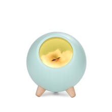 Load image into Gallery viewer, Creative Little Cute Pet House USB Ambience Light Children Girl Bedroom Bedside Cartoon Led Sleeping with Small Night Lamp Gift