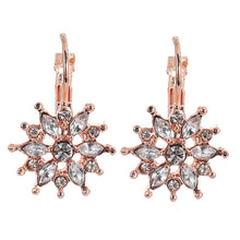 Load image into Gallery viewer, Japanese and Korean Fashion Flower Crystal Stud Earrings Korean Style Refined Rhinestone Snowflake Ornament
