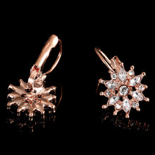 Load image into Gallery viewer, Japanese and Korean Fashion Flower Crystal Stud Earrings Korean Style Refined Rhinestone Snowflake Ornament