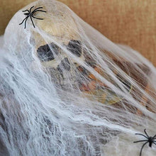 Load image into Gallery viewer, Thrilling Halloween Party Props Spider Web Halloween Party Arranged Decorations Supplies