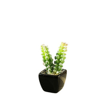 Load image into Gallery viewer, Mini Artificial Succulent Pant Bonsai (Pot Included) Creative Decoration Artificial Flower Yiwu Artificial Plant