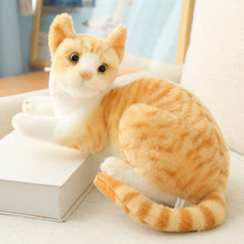 Load image into Gallery viewer, 1pc Simulation American Shorthai & Siamese Cat Plush Stuffed Lifelike Doll Animal Pet Toys For Children Home Decor Baby Gift