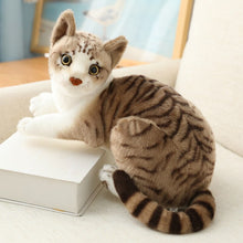 Load image into Gallery viewer, 1pc Simulation American Shorthai & Siamese Cat Plush Stuffed Lifelike Doll Animal Pet Toys For Children Home Decor Baby Gift