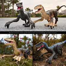 Load image into Gallery viewer, 2.4Ghz RC Simulation Dinosaur RC Velociraptor Intelligent Remote Control Dinosauria Toy With LED Light Roaring Gift for Child