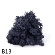 Load image into Gallery viewer, 20/40g Artificial Plant Moss DIY Home Wall Garden Ornament Micro Landscape Fake Flowers Decoration Material
