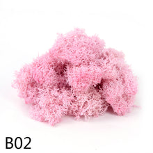 Load image into Gallery viewer, 20/40g Artificial Plant Moss DIY Home Wall Garden Ornament Micro Landscape Fake Flowers Decoration Material