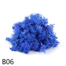 Load image into Gallery viewer, 20/40g Artificial Plant Moss DIY Home Wall Garden Ornament Micro Landscape Fake Flowers Decoration Material
