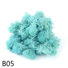 Load image into Gallery viewer, 20/40g Artificial Plant Moss DIY Home Wall Garden Ornament Micro Landscape Fake Flowers Decoration Material