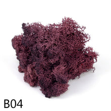 Load image into Gallery viewer, 20/40g Artificial Plant Moss DIY Home Wall Garden Ornament Micro Landscape Fake Flowers Decoration Material