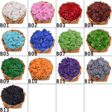 Load image into Gallery viewer, 20/40g Artificial Plant Moss DIY Home Wall Garden Ornament Micro Landscape Fake Flowers Decoration Material