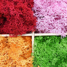 Load image into Gallery viewer, 20/40g Artificial Plant Moss DIY Home Wall Garden Ornament Micro Landscape Fake Flowers Decoration Material