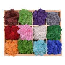 Load image into Gallery viewer, 20/40g Artificial Plant Moss DIY Home Wall Garden Ornament Micro Landscape Fake Flowers Decoration Material