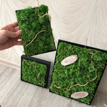 Load image into Gallery viewer, 20/40g Artificial Plant Moss DIY Home Wall Garden Ornament Micro Landscape Fake Flowers Decoration Material