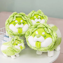 Load image into Gallery viewer, 20-50cm Cute Japanese Vegetable Dog Plush Toys Creative Chinese Cabbage Shiba Inu Pillow Stuffed Animal Sofa Cushion Baby Gifts