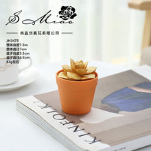 Load image into Gallery viewer, Succulent Plant Bonsai Creative Decoration Gift Flower Plant Interior Decoration