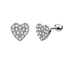 Load image into Gallery viewer, Hot New Zircon Ear Bone Stud Earrings Piercing Jewelry