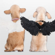 Load image into Gallery viewer, Halloween Pet Devil Angel Wing Transfiguration Coat Cosplay Props Costume Lightweight Dog Suit Comfortable Festive Party
