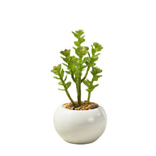 Load image into Gallery viewer, Artificial Succulent Pant Potted Plant (Pot Included) Artificial Flower Bonsai Home Decoration Artificial Plant