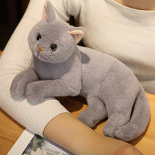 Load image into Gallery viewer, 4 Colors 31cm INS Like Real Prone Cat Plush Doll Stuffed Pure Colors Grey White Yellow Kitten Toy Pets Animal Kids Gift