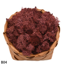 Load image into Gallery viewer, 40g Artificial Plant Eternal Life Moss Mini Garden Micro Landscape Accessories Home Wedding Decoration Wall DIY Flower Material