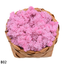 Load image into Gallery viewer, 40g Artificial Plant Eternal Life Moss Mini Garden Micro Landscape Accessories Home Wedding Decoration Wall DIY Flower Material