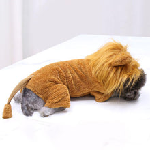 Load image into Gallery viewer, Pet Dog Cat Cartoon Lion Outfits Halloween Christmas Cosplay Hoodie Costume Autumn Winter Clothing for Holiday Party