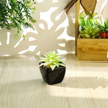 Load image into Gallery viewer, Mini Artificial Succulent Pant Bonsai (Pot Included) Creative Decoration Artificial Flower Yiwu Artificial Plant