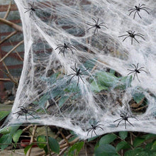 Load image into Gallery viewer, Halloween Spider Web Decorations with 2 Extra Fake Spiders White Cotton Cobweb for Haunted House Halloween Party Decor