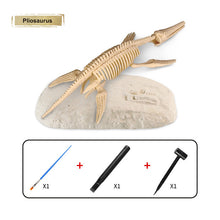 Load image into Gallery viewer, 5 Styles Dinosaur Fossil Excavation Toys Archaeological Dig Toy DIY Assembly Model Educational Toys for Kids Boys Gifts