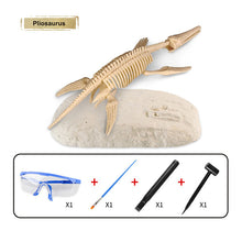 Load image into Gallery viewer, 5 Styles Dinosaur Fossil Excavation Toys Archaeological Dig Toy DIY Assembly Model Educational Toys for Kids Boys Gifts