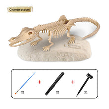 Load image into Gallery viewer, 5 Styles Dinosaur Fossil Excavation Toys Archaeological Dig Toy DIY Assembly Model Educational Toys for Kids Boys Gifts