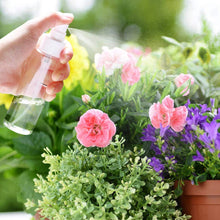 Load image into Gallery viewer, 5Pcs Spray Bottle 10ml 30ml 50ml 60ml 100ml Empty Vial Refillable Mist Pump Perfume Essential Oil Atomizer Travel Accessories