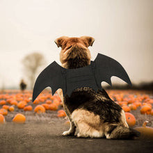 Load image into Gallery viewer, Halloween Costume Rypet Dog Bat - Pet Bat Wings Cosplay Dog Cat for Party