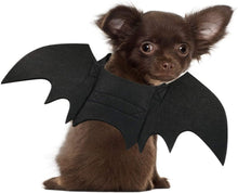 Load image into Gallery viewer, Halloween Costume Rypet Dog Bat - Pet Bat Wings Cosplay Dog Cat for Party