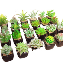 Load image into Gallery viewer, Mini Artificial Succulent Pant Bonsai (Pot Included) Creative Decoration Artificial Flower Yiwu Artificial Plant