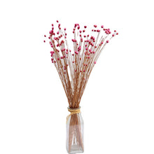 Load image into Gallery viewer, 50Pcs Real Happy Flower Small Natural Dried Flowers Bouquet Dry Flowers Press Mini Decorative Photography Photo Backdrop Decor
