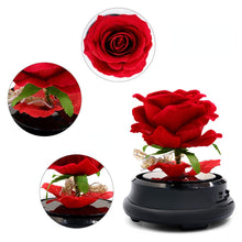 Load image into Gallery viewer, Artificial Flower Rose Glass Cover Lamp Little Prince New Exotic Creative Gift Christmas Gift