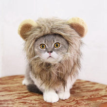 Load image into Gallery viewer, Small Dog Puppy Halloween Cosplay Costume Lion Shape Mane Wig Hat