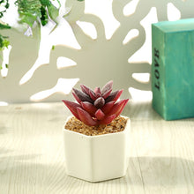 Load image into Gallery viewer, Artificial Succulent Pant Bonsai (Pot Included) Artificial Flower Creative Decoration Artificial Plant