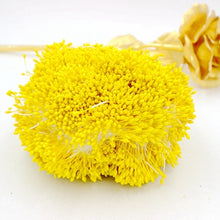 Load image into Gallery viewer, 900pcs/lot Random Mixed Double Heads DIY Artificial Mini Pearl Flower Stamen Pistil 1mm Floral Stamen For Wedding Decoration DIY