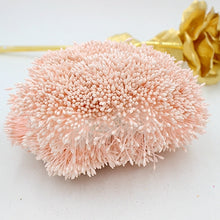 Load image into Gallery viewer, 900pcs/lot Random Mixed Double Heads DIY Artificial Mini Pearl Flower Stamen Pistil 1mm Floral Stamen For Wedding Decoration DIY