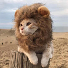 Load image into Gallery viewer, Funny Cute Pet Costume Cosplay Lion Mane Wig Cap Hat for Cat Halloween Autumn Winter Keep Warm