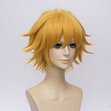 Load image into Gallery viewer, Cat Noir Cosplay Wig 30cm Short Golden Heat Resistant Synthetic Hair Perucas Cosplay Wigs + Wig Cap