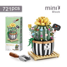 Load image into Gallery viewer, Creative Funny Cactus Building Blocks Diy Simulation Succulent Potted Green Plant Flower 3D Model Mini Brick Children's Toy Gift