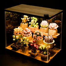 Load image into Gallery viewer, DIY MOC Potted Plants Succulents Cactus Gypsophila Bonsai Tree Gardens Romantic Building Blocks Model Bricks Kids Sets Kits Toys