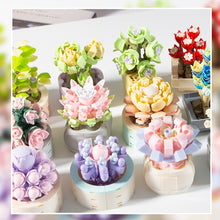 Load image into Gallery viewer, DIY MOC Potted Plants Succulents Cactus Gypsophila Bonsai Tree Gardens Romantic Building Blocks Model Bricks Kids Sets Kits Toys