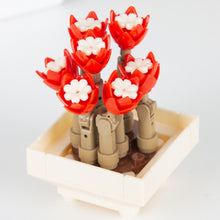Load image into Gallery viewer, DIY MOC Potted Plants Succulents Cactus Gypsophila Bonsai Tree Gardens Romantic Building Blocks Model Bricks Kids Sets Kits Toys