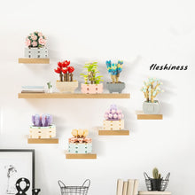 Load image into Gallery viewer, DIY MOC Potted Plants Succulents Cactus Gypsophila Bonsai Tree Gardens Romantic Building Blocks Model Bricks Kids Sets Kits Toys